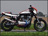 TEERA Type D