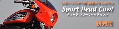 �X�|�[�c�X�^�[�p�r�L�j�J�E�� �i�e�B�[�� �X�|�[�c�w�b�h�J�E���j