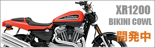 XR1200�p�r�L�j�J�E�� �J����